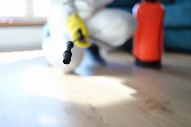 Best Commercial Mold Inspection  in Corning, IA