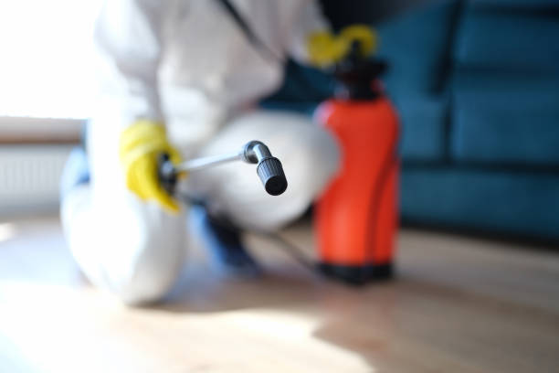 Best Post-Remediation Verification Testing  in Corning, IA