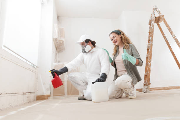 Best Post-Construction Mold Inspection  in Corning, IA
